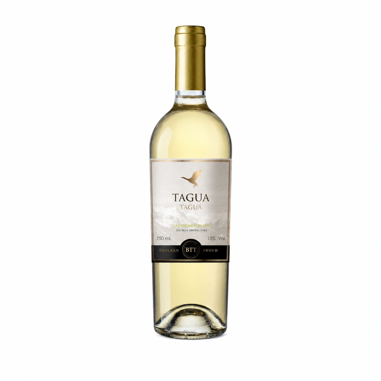Rượu Vang Tagua Tagua Merlot Central Valley